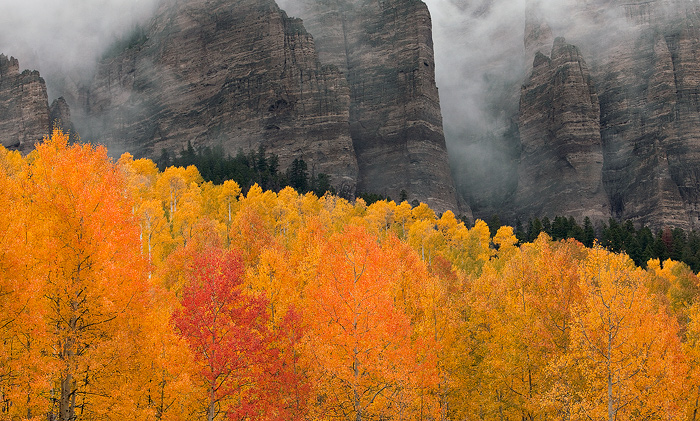 owl creek, colorado, ouray, aspen, leaves, colors photo