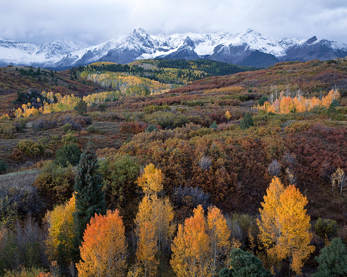 sneffels range, colorado, ouray, snow, storm, aspens, autumn, foliage photo