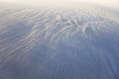 Great Sand Dunes III