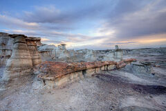 Petrified Tree