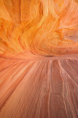 The Maelstrom - V