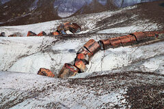 Petrified Forest