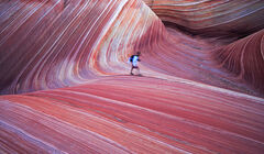 The Wave Hiker