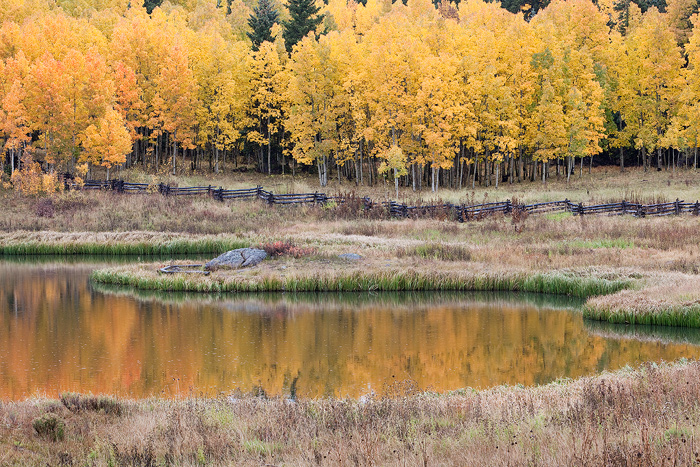 owl creek, colorado, ouray, fall, aspens, pond