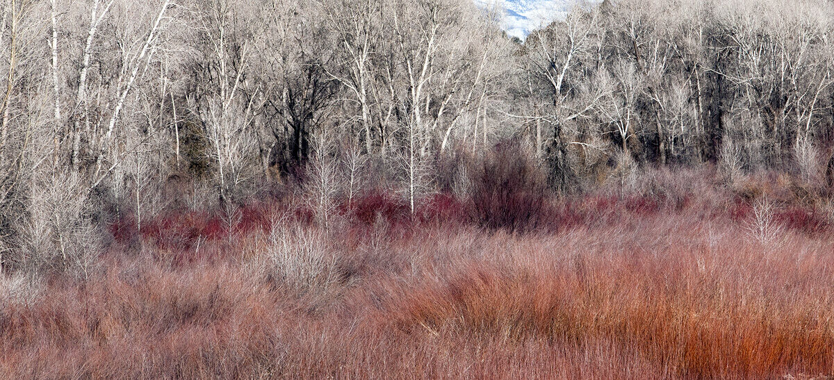 An early spring scene along the Eagle River just outside of Eagle, Colorado
