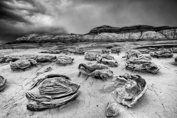 Cracked Eggs Storm III A storm approaches the Cracked Eggs formation in the Bisti Wilderness.