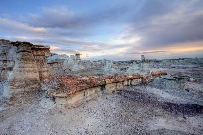 Petrified Tree 50 million years ago the Bisti Badlands were part of the Great Inland Sea, a vast sea stretching from Canada to the Gulf...