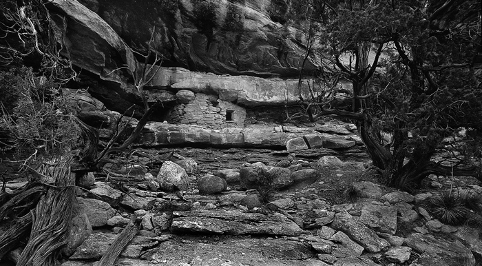 Cedar Mesa has ruins spread over many canyons, it is always exciting hiking through the canyons and coming upon a thousand year...