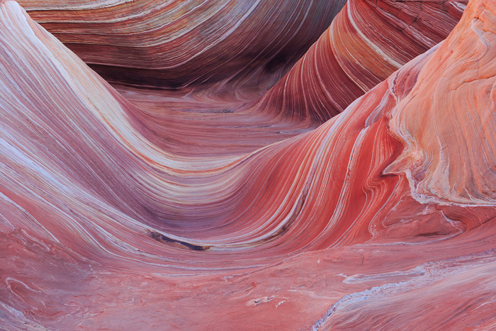 The Wave is a unique sandstone formation, the sandstone worn smooth by water and wind, forming smooth flowing curved features...