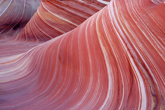 The Wave - Detail The Wave is a unique sandstone formation, the sandstone worn smooth by water and wind, forming smooth flowing curved features...